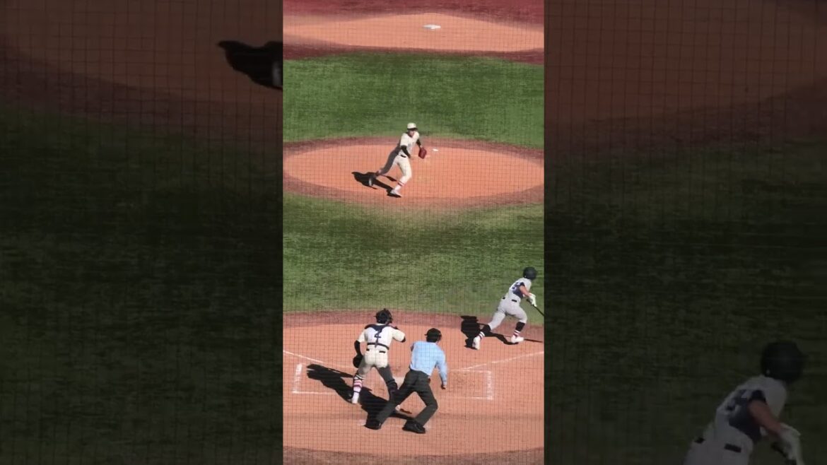 横浜高校　今村稀翠(飯塚ボーイズ)　ドラッグバント　2024.11.23