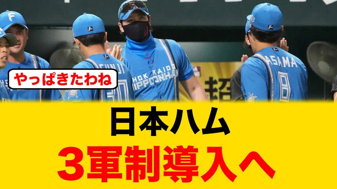 【特大朗報】日本ハム３軍制を検討してる模様【北海道日本ハムファイターズ】