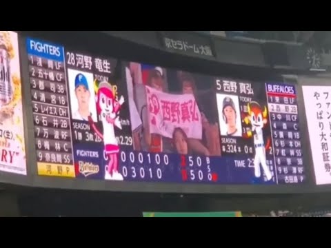 20240818 西野真弘 偶数打席の登場曲【「Delusion:All」/ONE OK ROCK】 3回ウラ第2打席 オリックス・バファローズ@京セラドーム大阪・レフト外野下段 夏の陣2024 20240818 西野真弘 偶数打席の登場曲【「Delusion:All」/ONE OK ROCK】 3回ウラ第2打席 オリックス・バファローズ@京セラドーム大阪・レフト外野下段 夏の陣2024