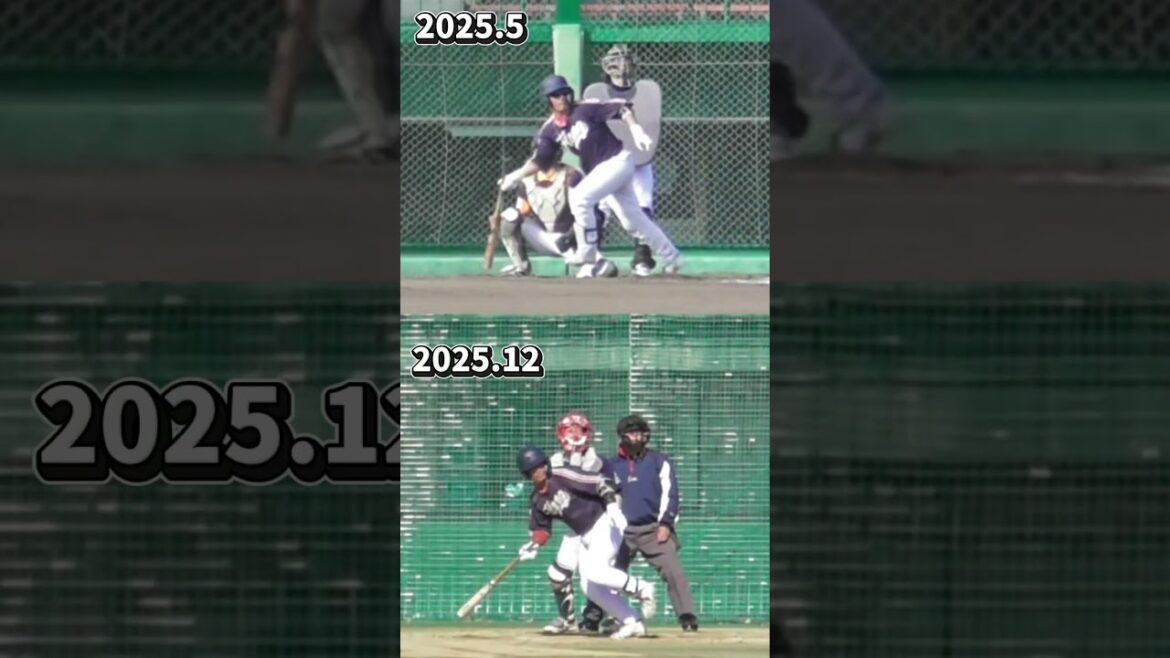 レフト線の打球の変化  #shorts #baseball #野球 #バッティング #野球のミカタ #打撃探究部屋