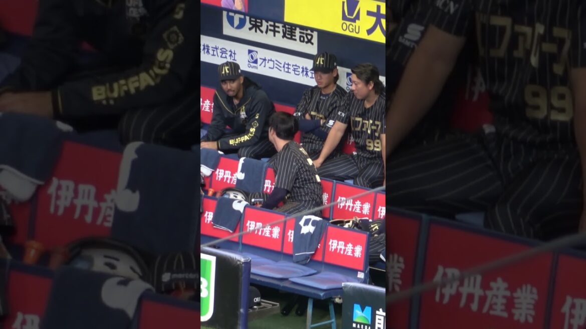 アウトになった太田をさりげなく気遣う宗佑磨 #オリックスバファローズ #宗佑磨 #太田椋