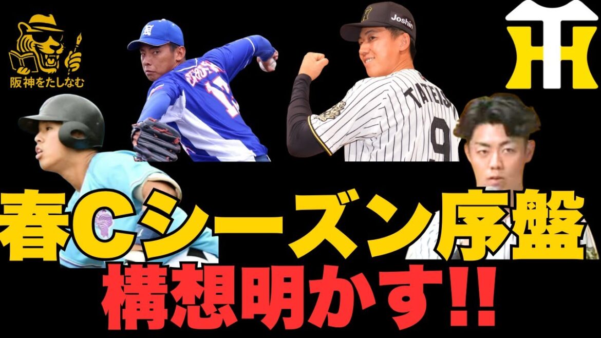 藤川監督キャンプ、シーズン序盤構想明かす‼️打順も壊す‼️固定もしない若手使う‼️【徹底考察】#阪神タイガース #阪神 新外国人#新外国人候補 2026#デバニー#ルーカス#モレッタ#立石 正広 藤川監督キャンプ、シーズン序盤構想明かす‼️打順も壊す‼️固定もしない若手使う‼️【徹底考察】#阪神タイガース #阪神 新外国人#新外国人候補 2026#デバニー#ルーカス#モレッタ#立石 正広