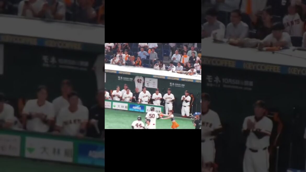 【巨人ベンチ】オコエ瑠偉の逆方向へのホームランに喜ぶ選手たち（読売ジャイアンツ 対 横浜DeNAベイスターズ 2024年10月2日） #巨人 #読売ジャイアンツ #プロ野球 #ジャイアンツ
