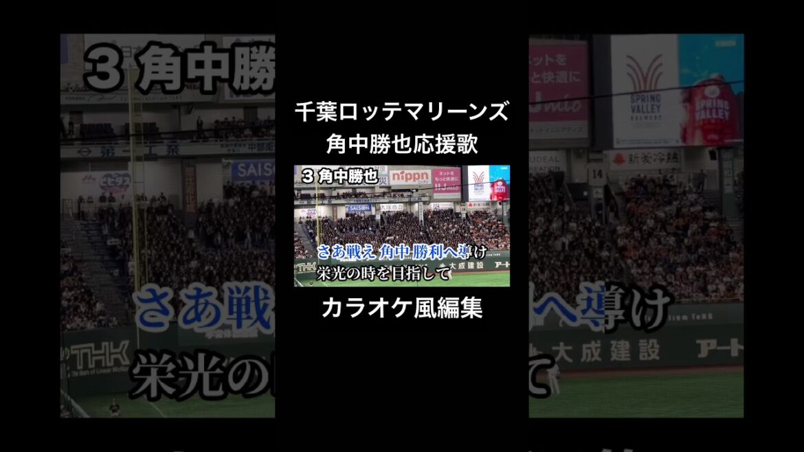 千葉ロッテマリーンズ 角中勝也応援歌 カラオケ風編集 #千葉ロッテマリーンズ #角中勝也 #応援歌