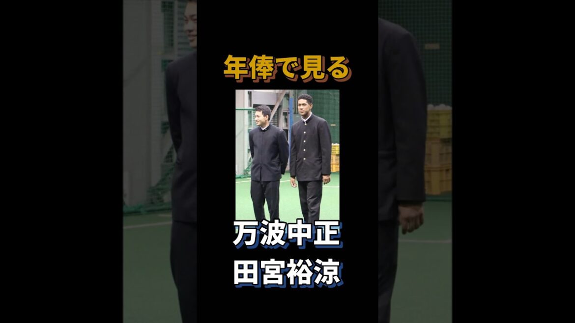 年俸で見る万波中正・田宮裕涼#プロ野球 #北海道日本ハムファイターズ #年俸