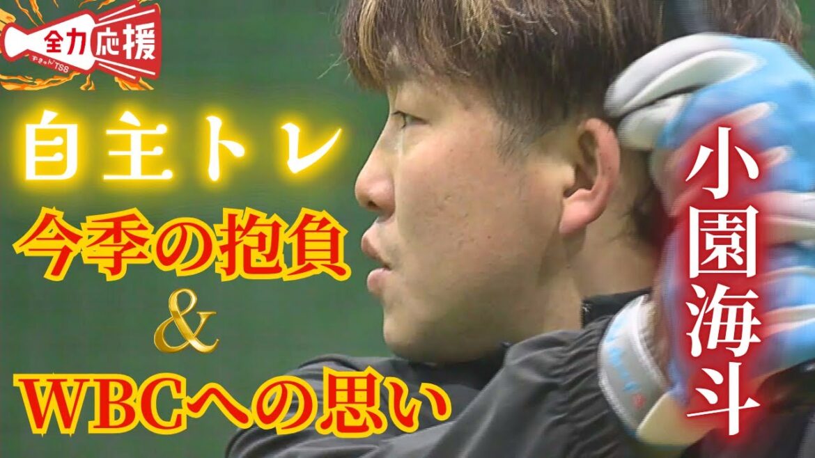【自主トレ潜入】小園海斗が今季の抱負に『シーズン.310越え』＆WBC参加への思いを語る🔥【球団認定】カープ全力応援チャンネル