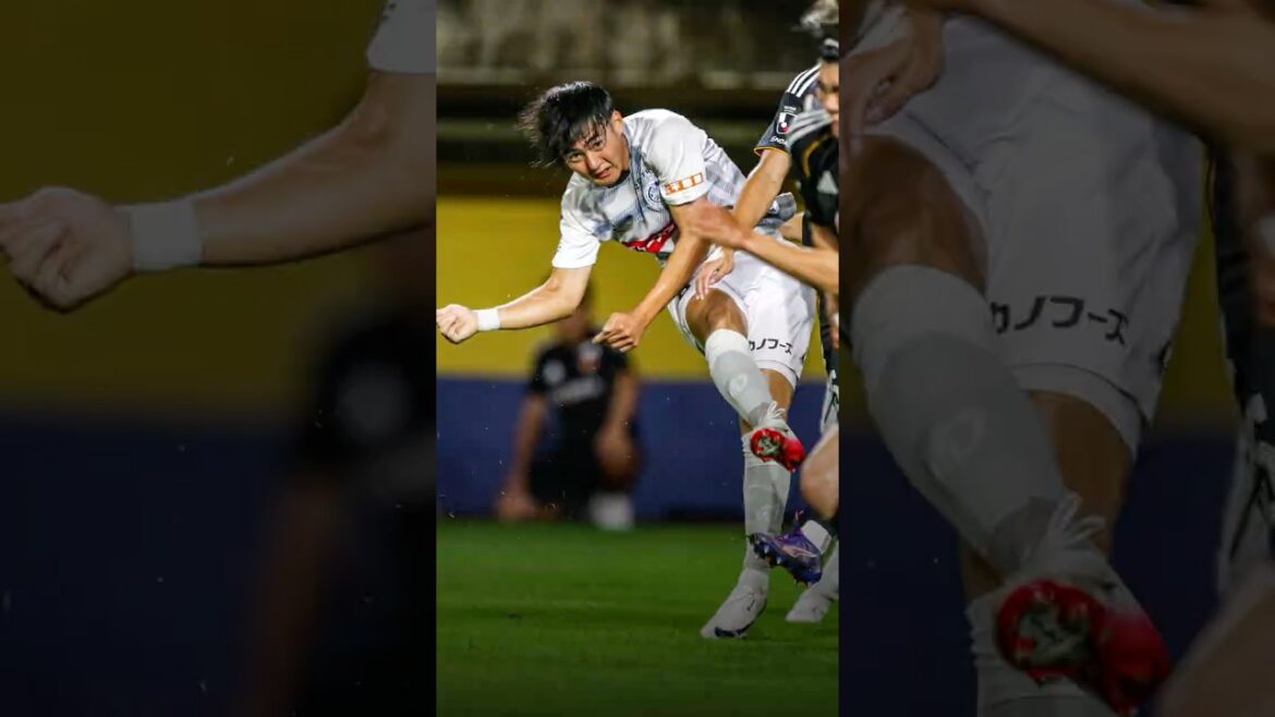 Goal of the Year goes to a goal scored by Shunsuke Saito of Mito Hollyhock against Vegalta Sendai