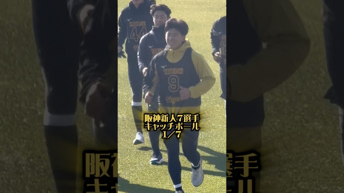 阪神新人選手のキャッチボール1/7尼崎 #阪神タイガース #阪神 #阪神ファン #立石正広 #谷端将伍 #星稜 #岡城快生 #早瀬朔 #神村学園 #能登嵩都 #神宮僚介 #山﨑照英 #創価大学