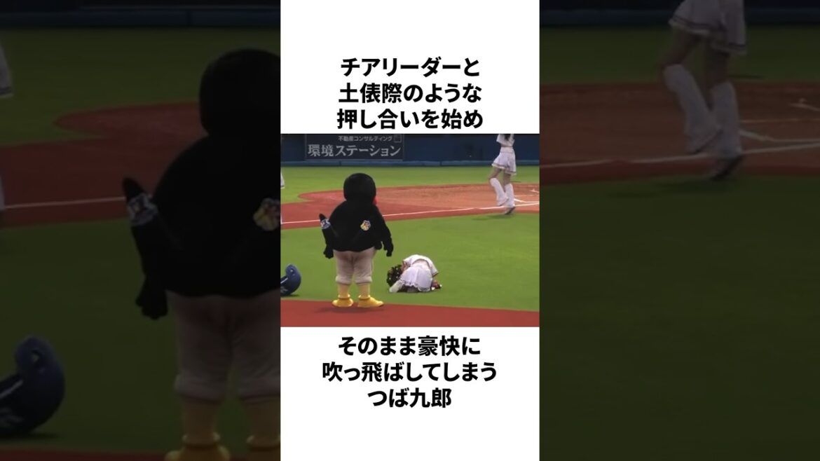 【神】つば九郎の魅力が強すぎる件　#プロ野球 #野球 #npb