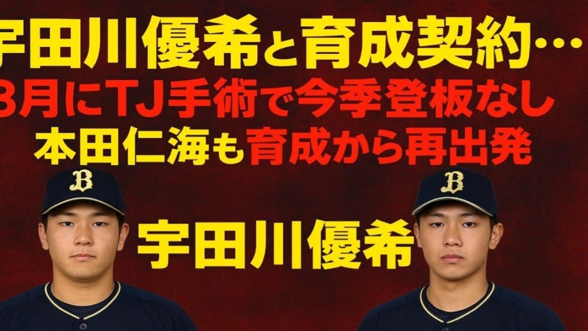 オリックスが宇田川優希と育成契約…3月にTJ手術で今季登板なし 本田仁海も育成から再出発 オリックスが宇田川優希と育成契約…3月にTJ手術で今季登板なし 本田仁海も育成から再出発
