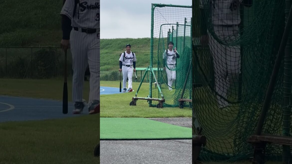選手きたー！ヤクルトスワローズ二軍