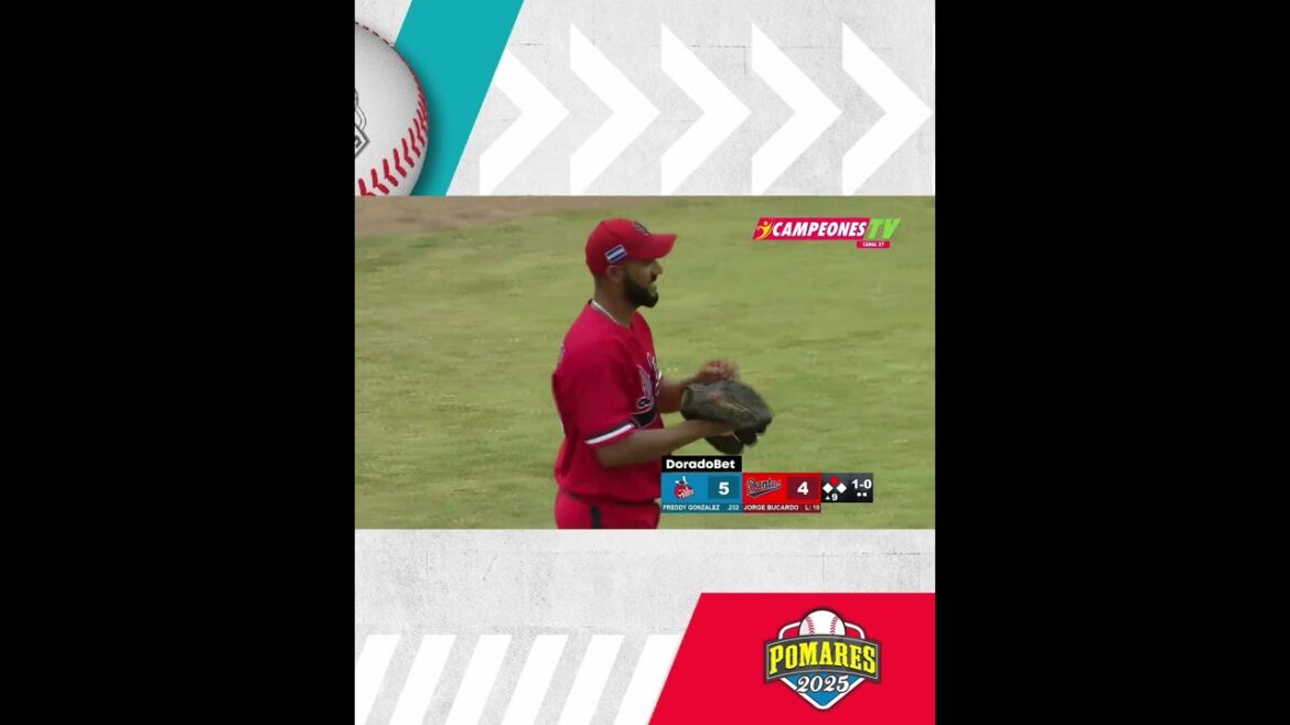 ⚾🔥 ¡Los Toros rugen otra vez!