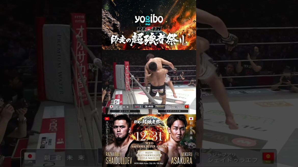 フェザー級タイトルマッチ #ラジャブアリシェイドゥラエフ vs  #朝倉未来 #RIZIN師走の超強者祭り #RazhabaliShaidulloev