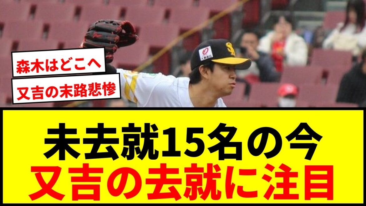 【衝撃】トライアウトから2ヶ月で未去就15名！前ソフトバンク左腕、阪神ドラ1投手らの今後は？