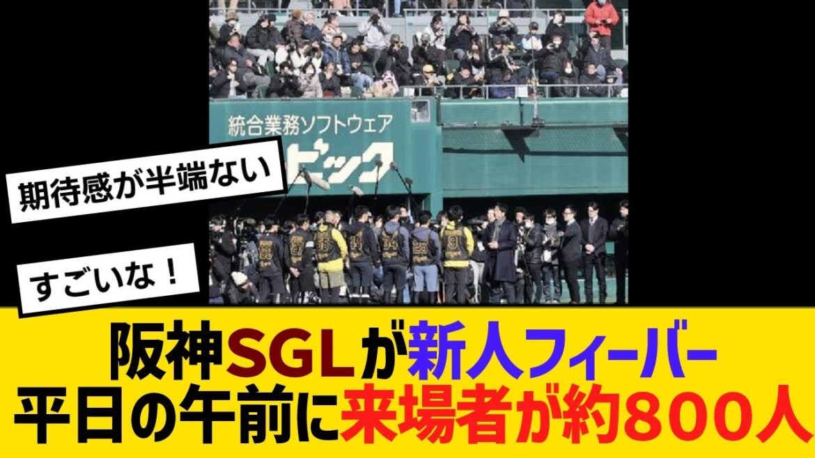 阪神ＳＧＬが立石正広ら目当てに新人フィーバー！平日の午前に来場者が約８００人【野球】【反応】【考察】