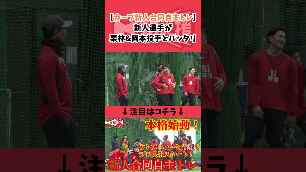 【カープ新入団選手合同自主トレ】新人選手が栗林&岡本投手とばったり遭遇!【球団認定】カープ全力応援チャンネル 【カープ新入団選手合同自主トレ】新人選手が栗林&岡本投手とばったり遭遇!【球団認定】カープ全力応援チャンネル