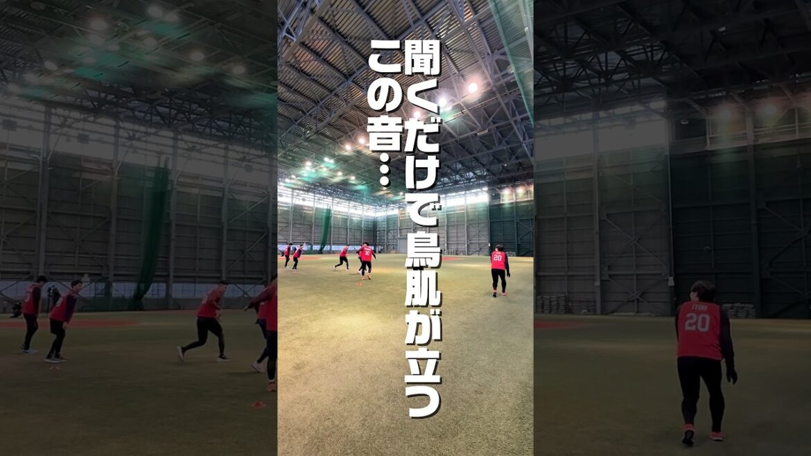 【どれくらい走れる？】プロ野球選手のシャトルラン🏃‍♂️🏃‍♂️🏃‍♂️🏃‍♂️🏃‍♂️