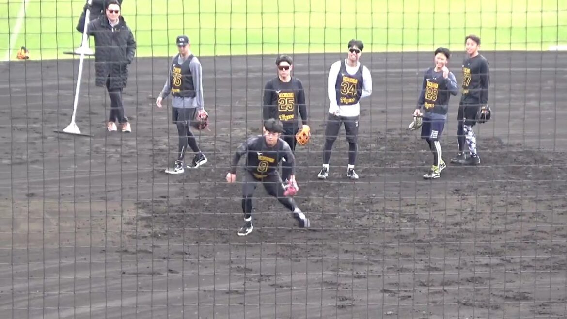 【初ノック】ルーキーたちの華麗な守備が見れた！軽快なフットワークに守備力の高さも垣間見えた！！12球団一の守備力を誇るタイガースの一員になるために絶対能力【阪神新人合同自主トレ2日目】2026.1.8