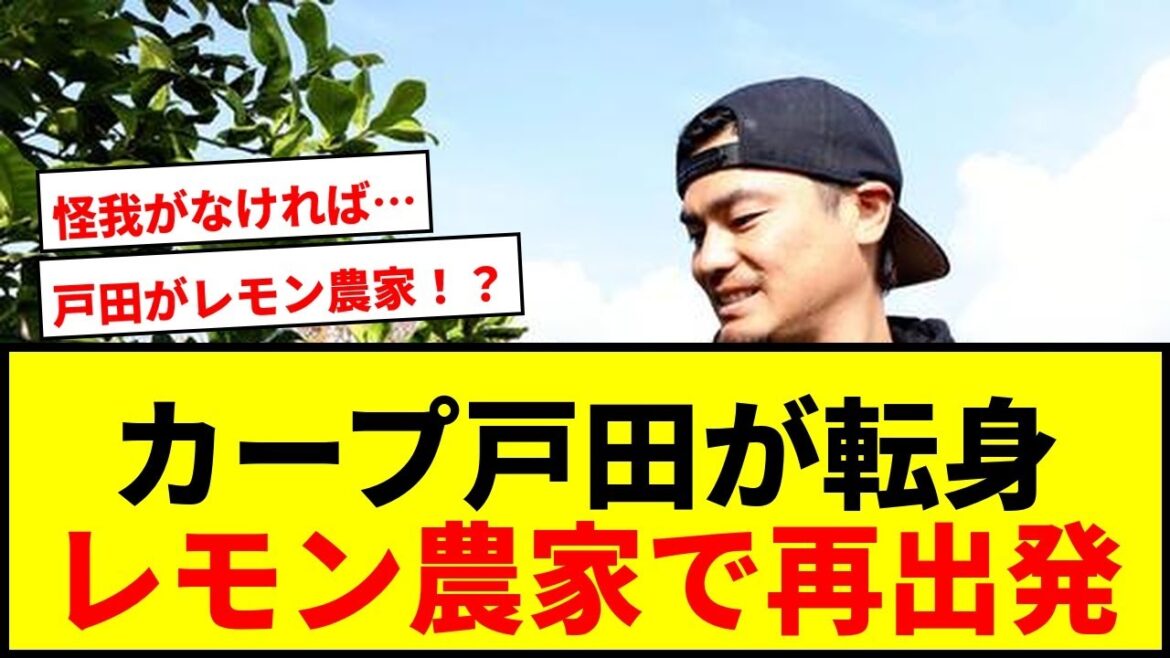 【衝撃】カープ元ドラ3戸田隆矢、瀬戸内海を一望の丘でレモン農家に転身!「広島しか頭になかった」 【衝撃】カープ元ドラ3戸田隆矢、瀬戸内海を一望の丘でレモン農家に転身!「広島しか頭になかった」