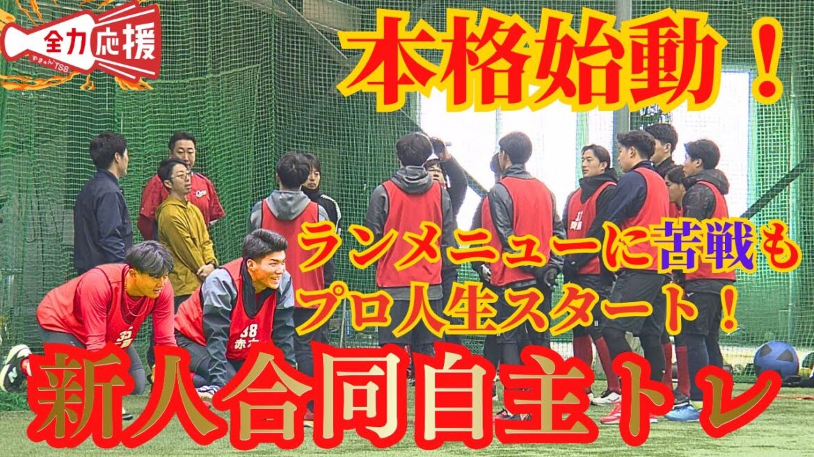 【カープ新入団選手合同自主トレ】2026年度ドラフト指名された期待のルーキーたちが始動🔥【球団認定】カープ全力応援チャンネル