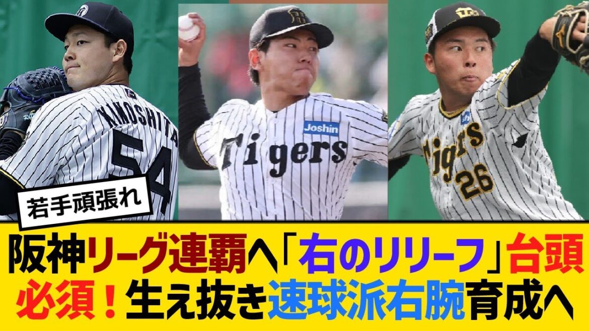 阪神史上初リーグ連覇へ「右のリリーフ」台頭必須!生え抜き速球派右腕育成へ【野球】【反応】【考察】 阪神史上初リーグ連覇へ「右のリリーフ」台頭必須!生え抜き速球派右腕育成へ【野球】【反応】【考察】