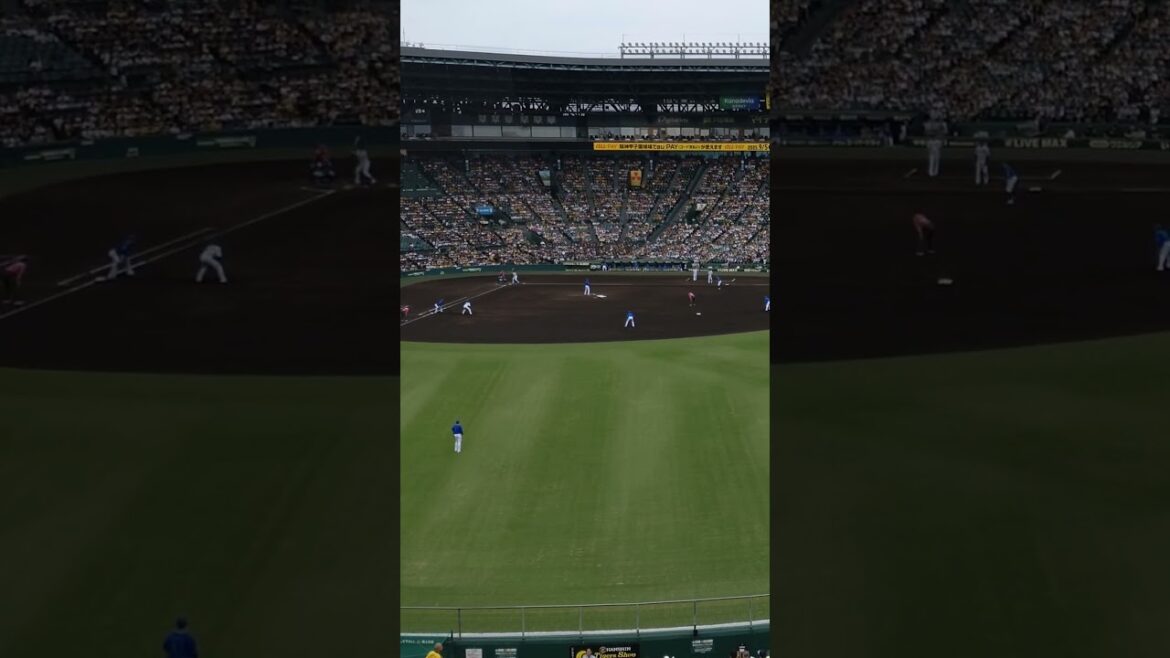 梅野隆太郎盗塁を助ける空振り三振