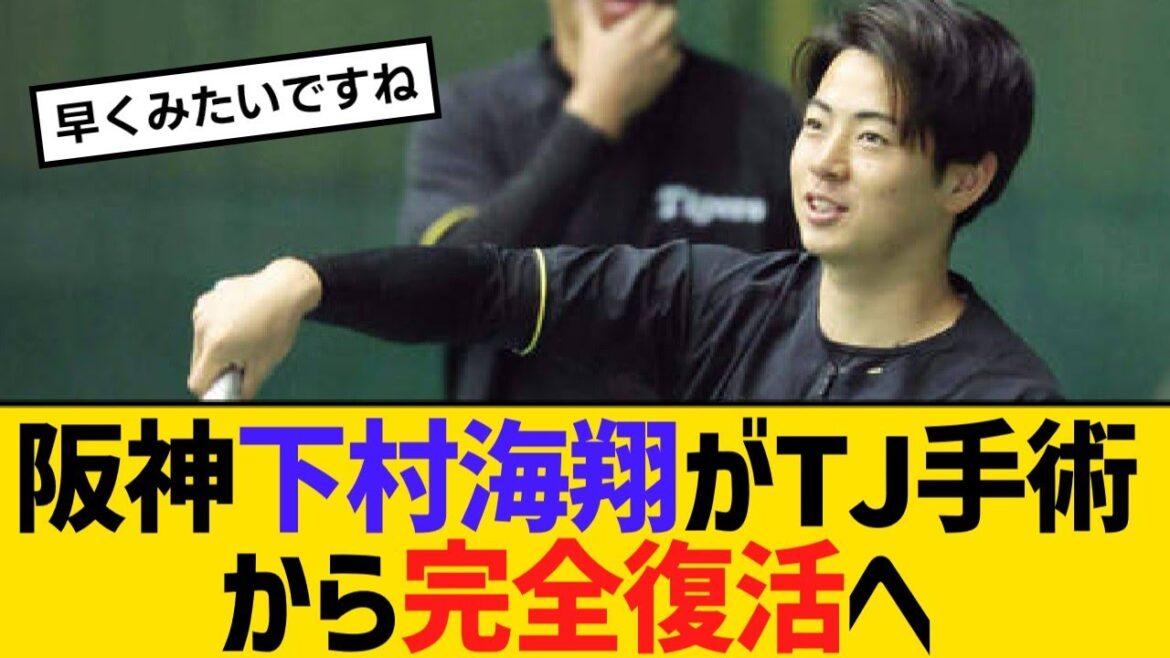 阪神下村海翔がTJ手術から完全復活へ「期待に応えられるように」【野球】【反応】【考察】