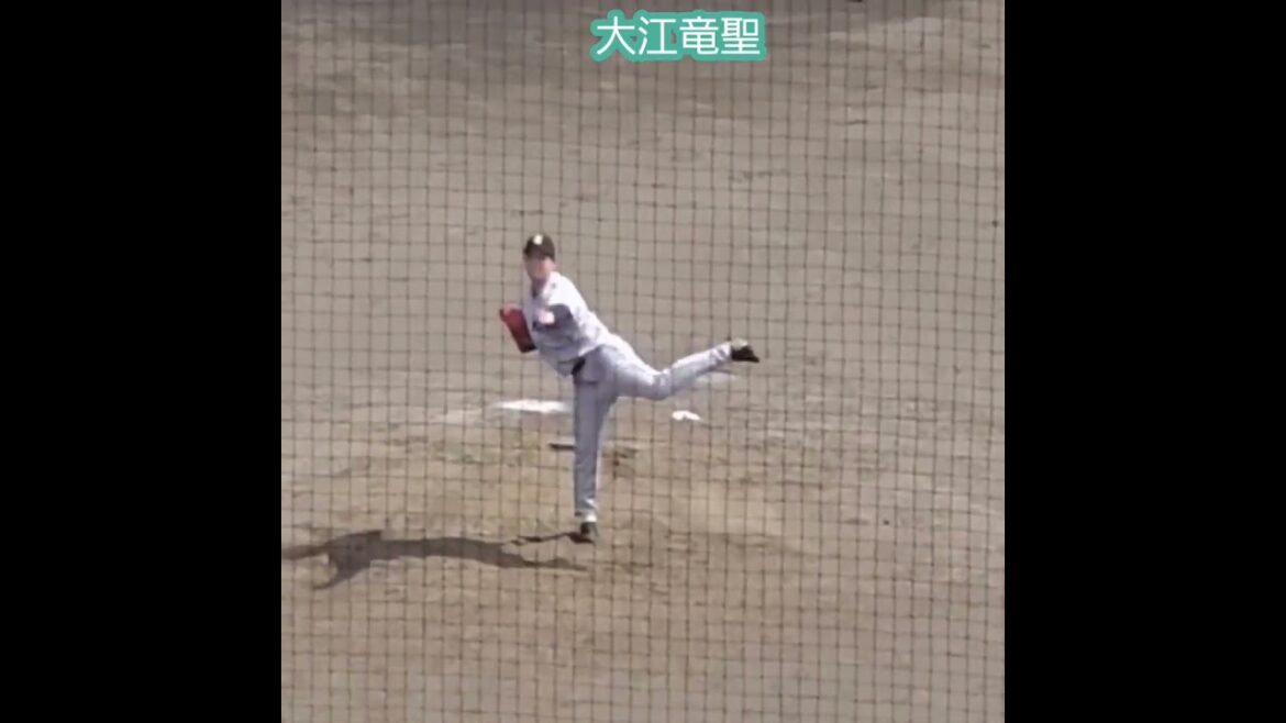 20240727　#大江竜聖　#投球練習　#shorts　投球ﾌｫｰﾑ　読売ｼﾞｬｲｱﾝﾂ(巨人)2軍@ﾊﾞｯﾃｨﾝｸﾞﾊﾟﾚｽ相石ｽﾀｼﾞｱﾑひらつか［ｲｰｽﾀﾝ･ﾘｰｸﾞ 2軍戦］平塚球場