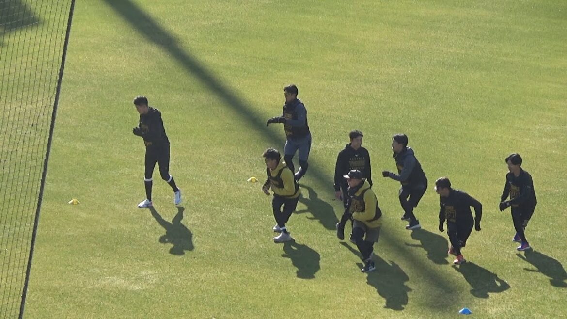 【阪神新人合同自主トレ】いよいよ期待のルーキーたちのプロ野球人生がスタート!ケガをしない基礎運動をしっかりこなしプロ野球選手としての体づくりが今始まった!!2026.1.7 【阪神新人合同自主トレ】いよいよ期待のルーキーたちのプロ野球人生がスタート!ケガをしない基礎運動をしっかりこなしプロ野球選手としての体づくりが今始まった!!2026.1.7