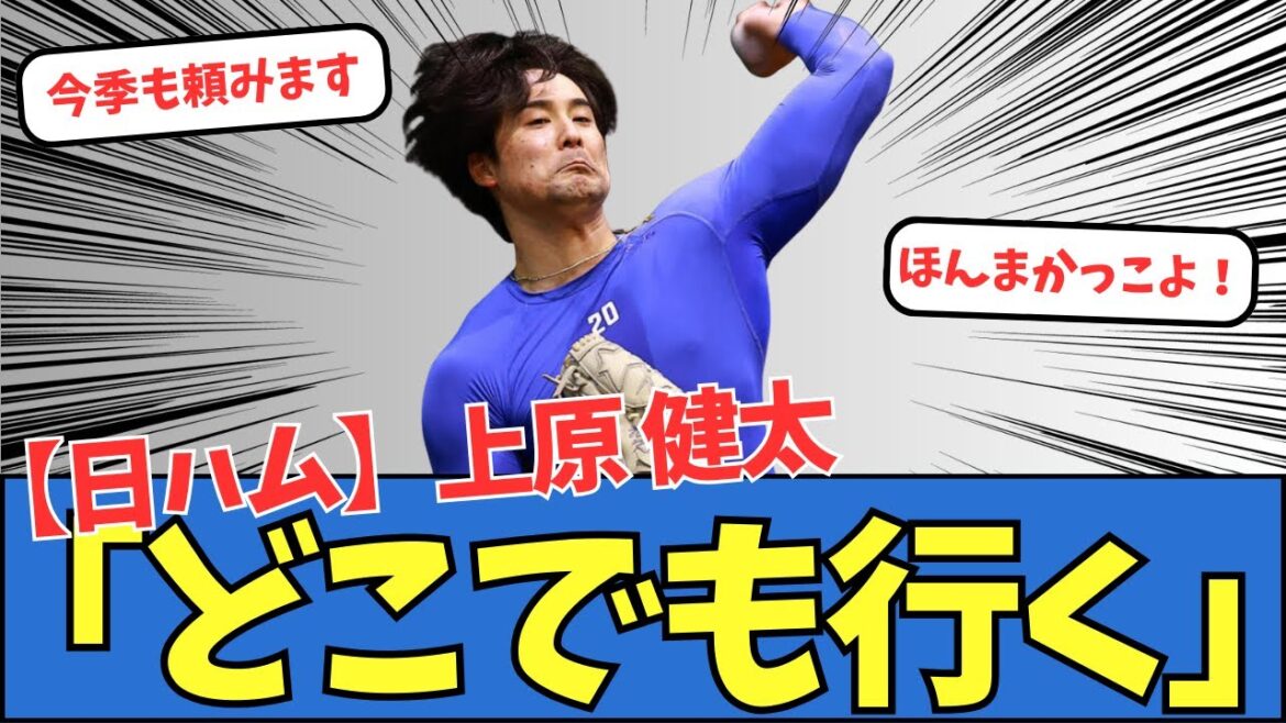 【日ハム】上原健太「どこでも行く」 【日ハム】上原健太「どこでも行く」