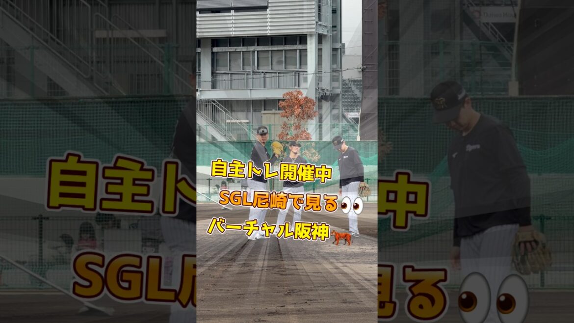 自主トレ開催中 ⚾️SGL尼崎で見る👀 バーチャル阪神タイガース🐅#阪神タイガース#阪神#及川雅貴 #下村海翔 #高橋遥人
