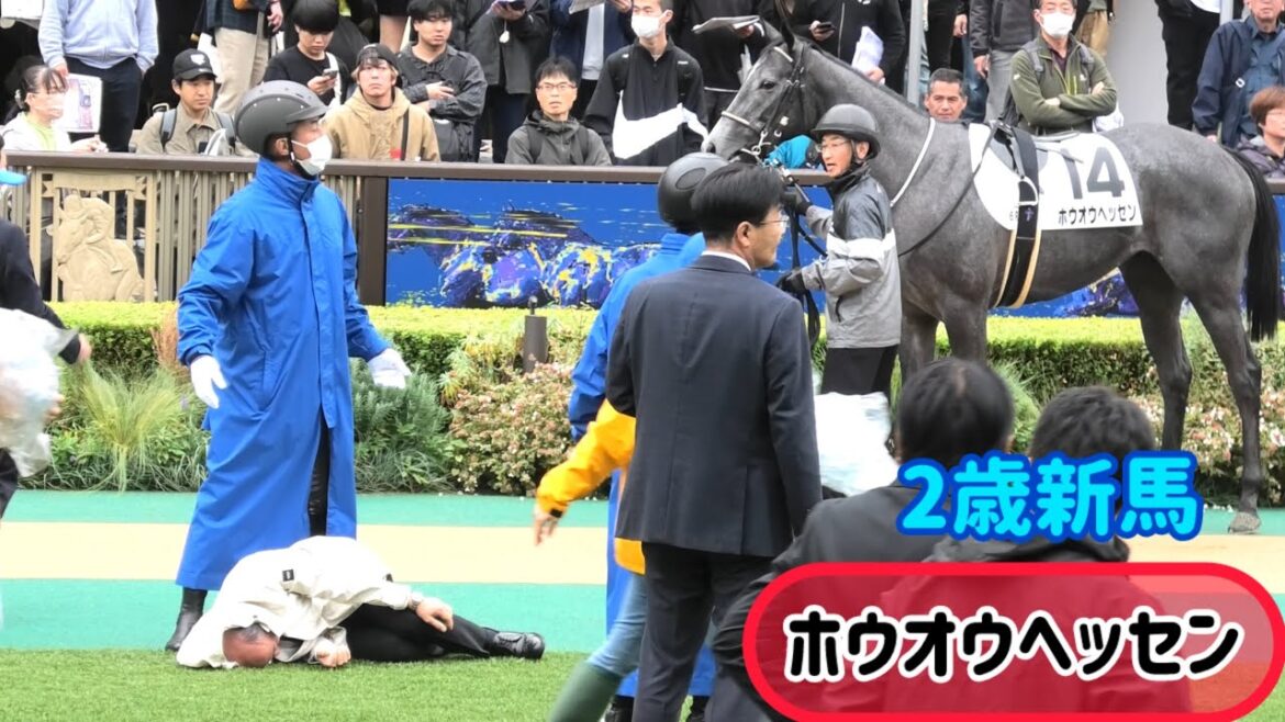 凄い音がしたと思ったら田島調教師がホウオウヘッセンに蹴られ倒れていた