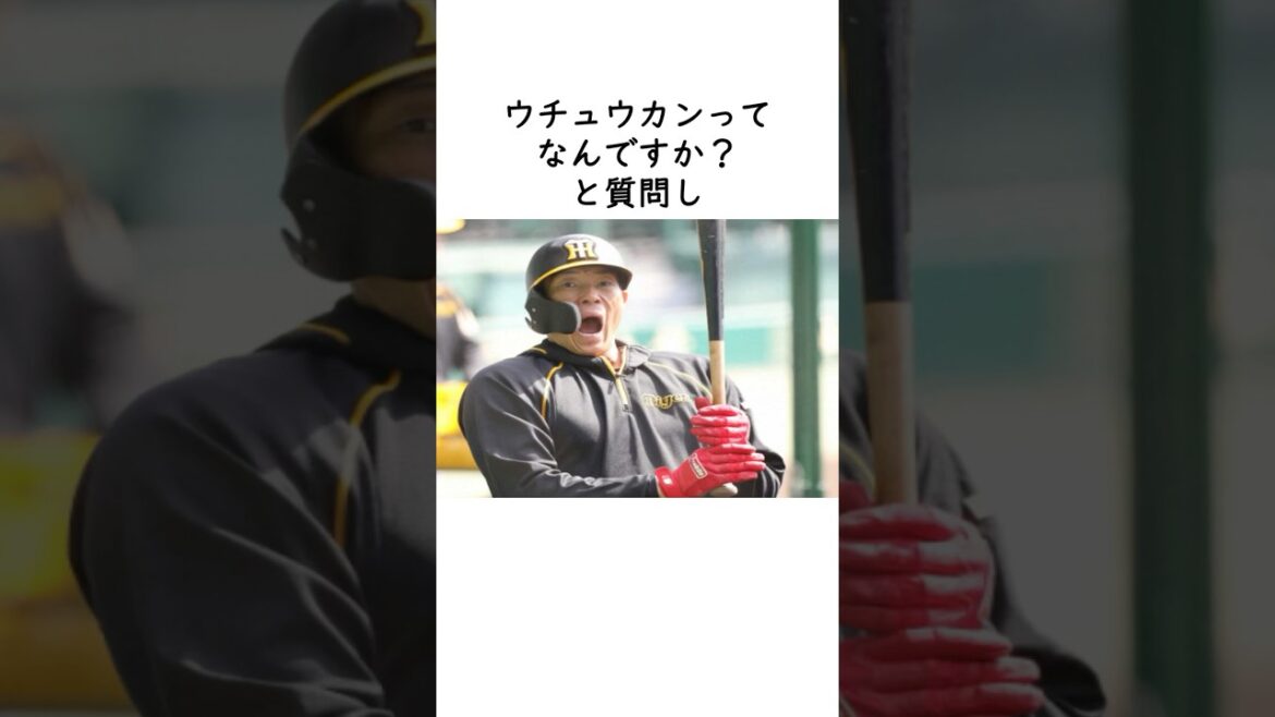 【糸井嘉男】変人・超人と言われるが実は… #引退試合 #阪神タイガース #筋肉