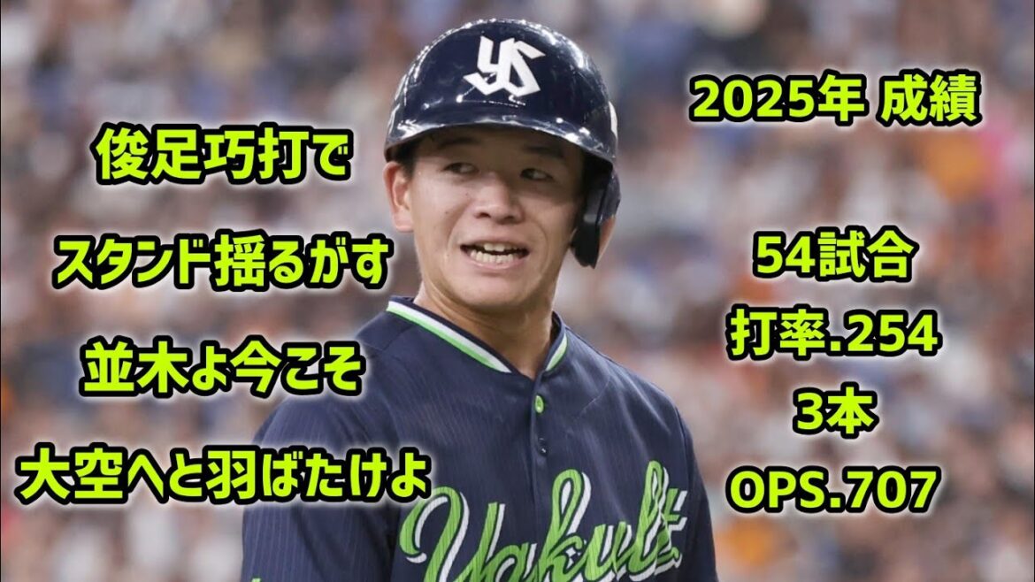 並木秀尊【30分耐久】応援歌 広告なし 作業用 睡眠用BGM 歌詞つき 現地音源 ハモり 1時間耐久 東京ヤクルトスワローズ ヤクルト