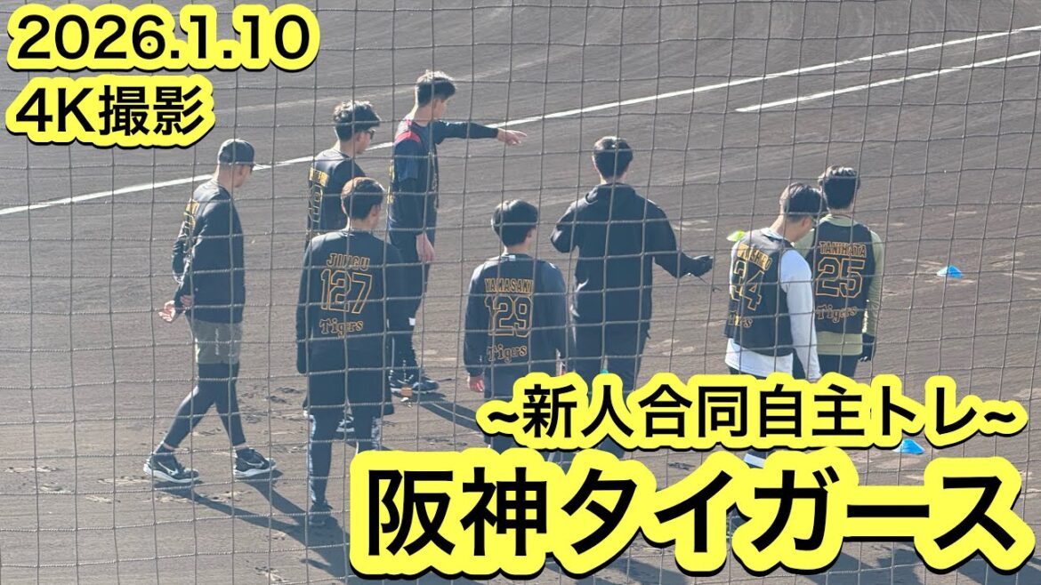 阪神タイガース　新人合同自主トレ　ダイジェスト映像！！ドラフト1位/創価大学/立石正広ら7名参加