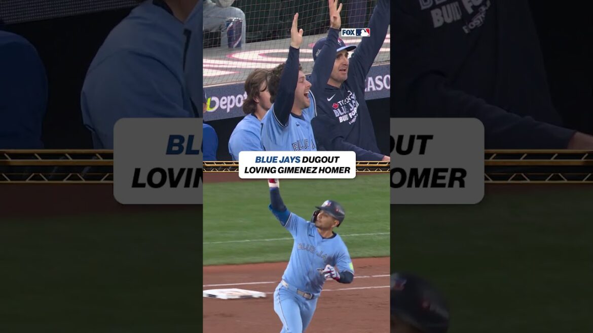 The reactions to this home run 😂 #mlb #baseball #bluejays