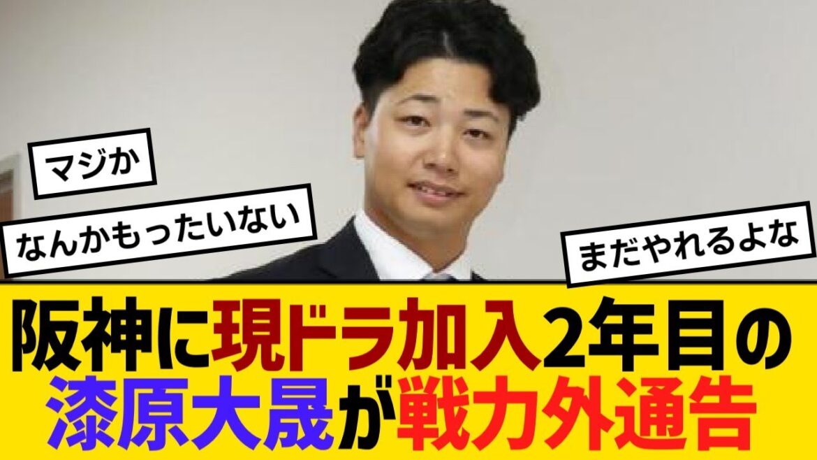 阪神に現ドラ加入2年目の漆原大晟が戦力外通告　今季11試合で防御率0・00の好成績も【野球】【反応】【考察】