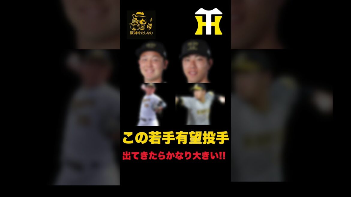 この若手に期待🔥一皮剥ければむちゃくちゃ大きい戦力になる‼️#阪神タイガース＃セリーグ順位予想＃阪神タイガースたしなむ#阪神　新外国人＃新外国人候補　2026#デバニー＃ルーカス阪神　若手