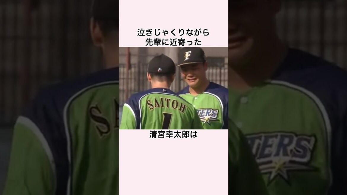 「ハンカチ王子の第二の人生」斎藤佑樹に関する雑学 #プロ野球 #斎藤佑樹 #北海道日本ハムファイターズ