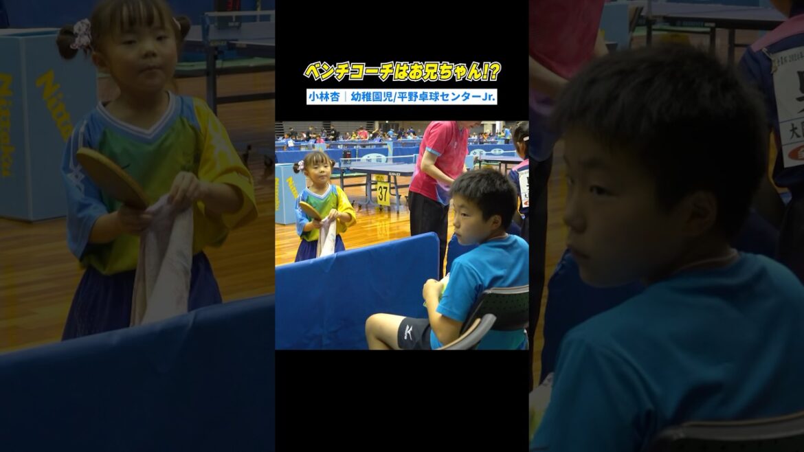 【兄妹パワー】全国の舞台で..！？ベンチコーチはお兄ちゃん🔥 #全農杯 #Shorts