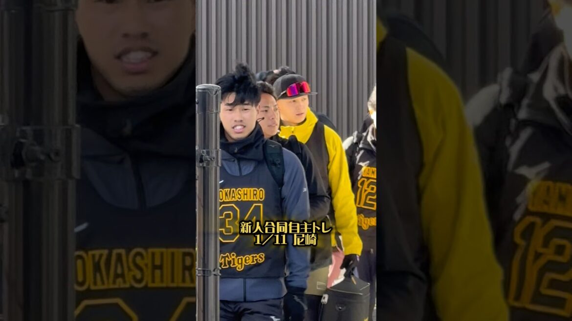 阪神新人合同自主トレ1/11尼崎 #阪神タイガース #阪神 #阪神ファン #プロ野球 #立石正広 #谷端将伍 #岡城快生 #早瀬朔 #能登嵩都 #神宮僚介 #山﨑照英 #野球選手 #守備 #創価大学