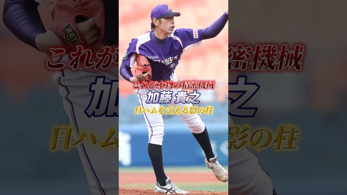【これが本物の精密機械】日ハムを支える影の柱 加藤貴之 #加藤貴之 #北海道日本ハムファイターズ #野球 #baseball #ピッチャー #新日鐵住金かずさマジック