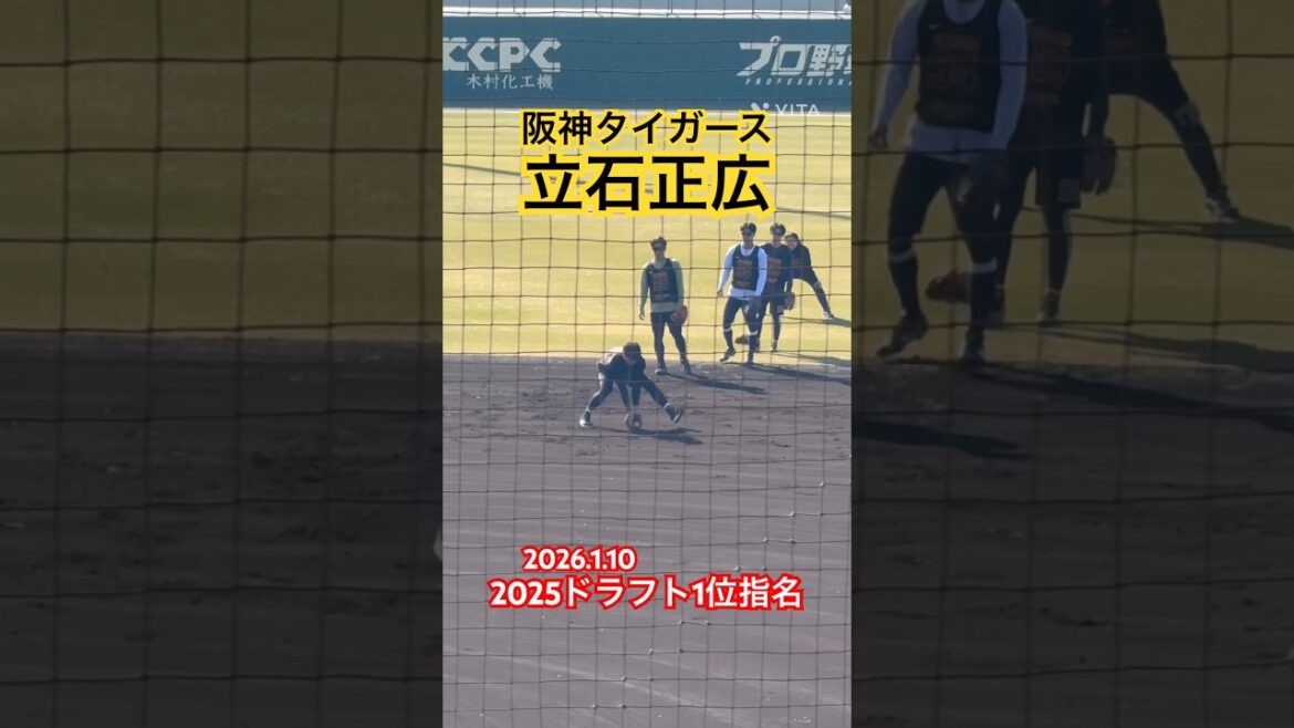 #立石正広 #阪神タイガース #ドラフト #創価大学 #プロ野球