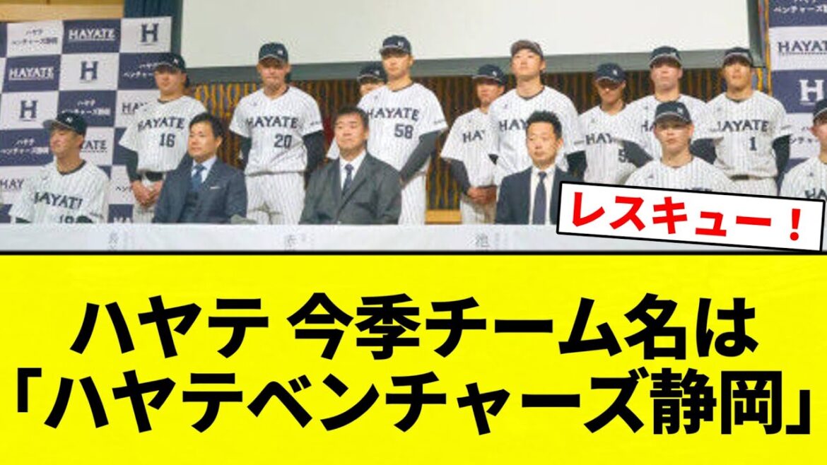 【ハヤテ】ハヤテ 今季チーム名は「ハヤテベンチャーズ静岡」【プロ野球反応集】【2chスレ】【なんG】