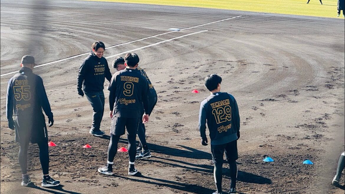 【流石の動き】阪神 新人合同自主トレ セカンドアップ