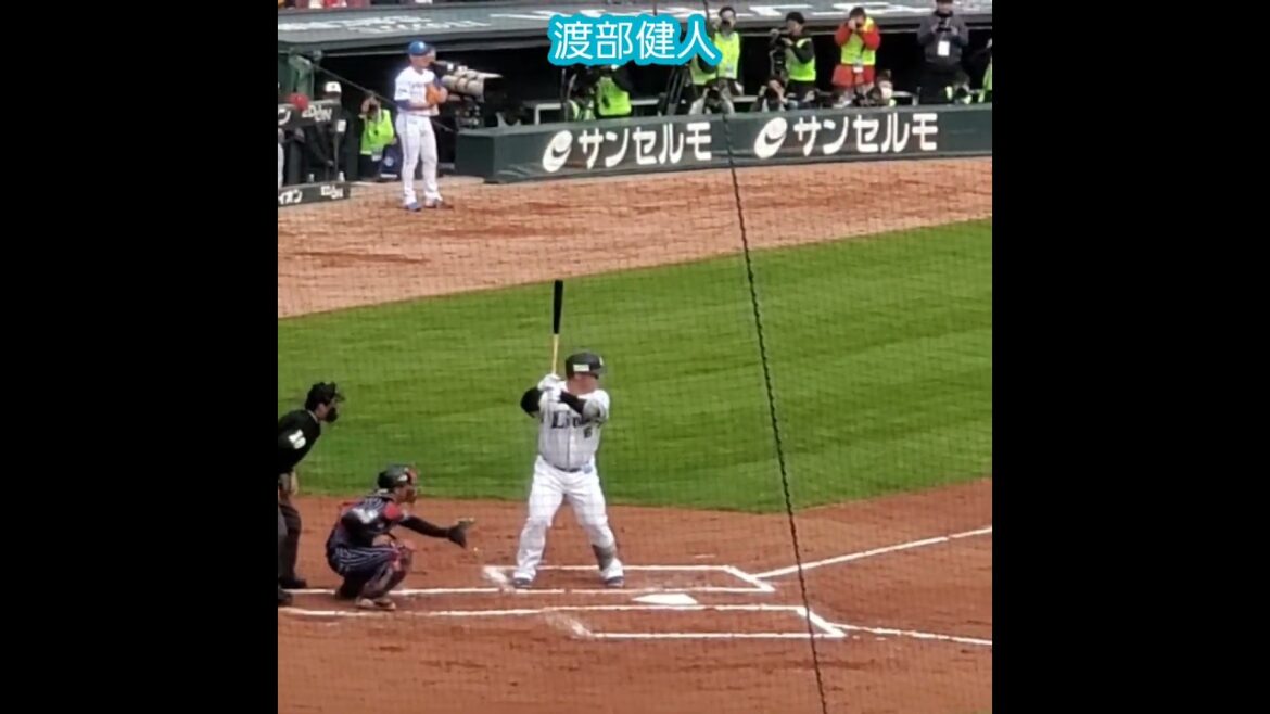 20251112　生すか…　#渡部健人　#打撃フォーム　#バッティング　#打撃　#バッティング打撃　#shorts@MAZDA Zoom-Zoom ｽﾀｼﾞｱﾑ広島［ｴｲﾌﾞﾙ ﾄﾗｲｱｳﾄ2025］