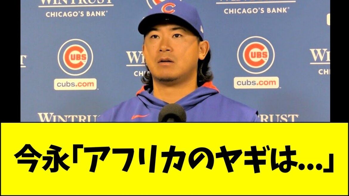 今永「アフリカのヤギは…」 今永「アフリカのヤギは...」