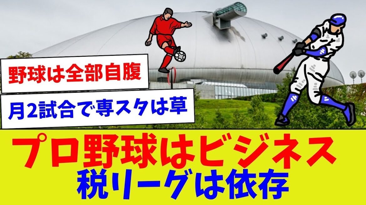 【構造が違いすぎる】プロ野球はビジネス税リーグは依存【野球情報】【2ch 5ch】【なんJ なんG反応】【野球スレ】