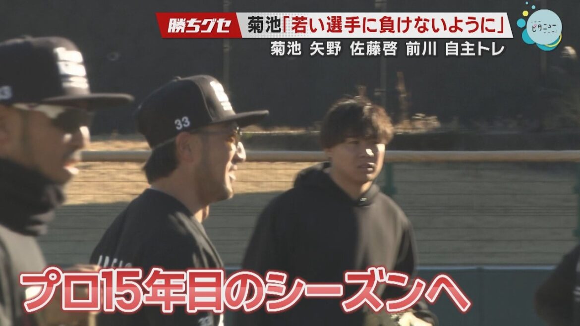 【Carp自主トレ】菊池涼介＆矢野雅哉＆佐藤啓介＆前川誠太｜坂倉将吾＆玉村昇悟｜秋山翔吾｜新人合同自主トレ｜勝ちグセ｜カープ｜ピタニュー