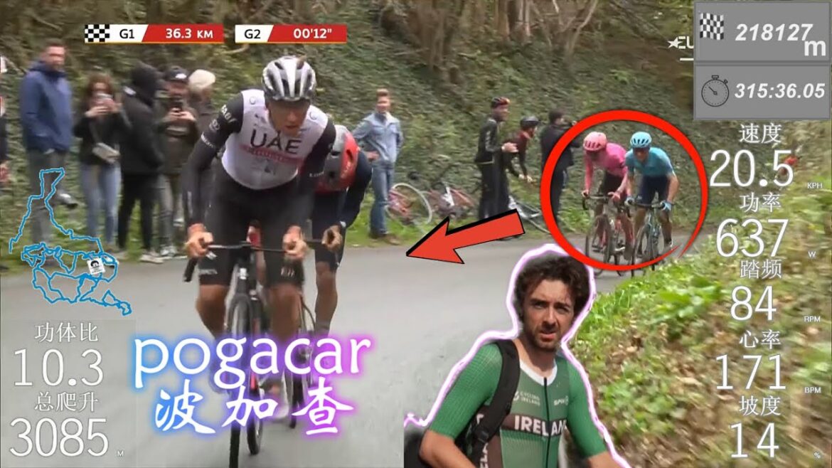 无名小卒单挑波加查的史诗一战！所有人都猜到了开头，却没人猜中结局